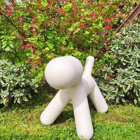 L'arsouille Rural Doische